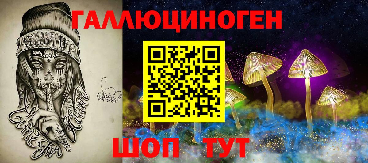 Зеленогорск  Псилоцибиновые грибы мицелий  Псилоцибиновые грибы Psilocybe  Вход с VPN 