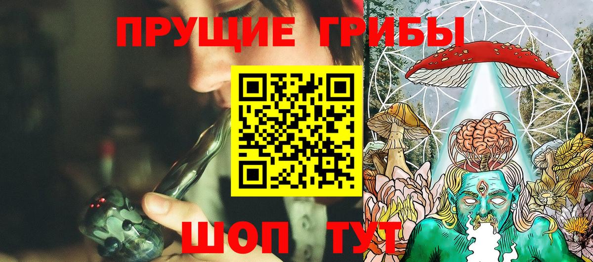 Галлюциногенные грибы Psilocybine cubensis Зеленогорск