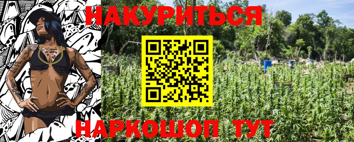 Канабис LSD WEED  Каннабис ГИДРОПОН  Зеленогорск  Вход с VPN  Бошки Шишки LSD WEED 